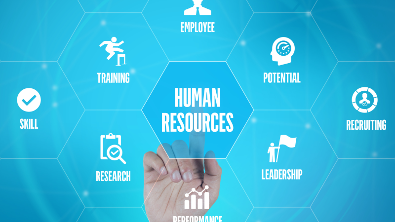 MSc International Business with Human Resource Management
